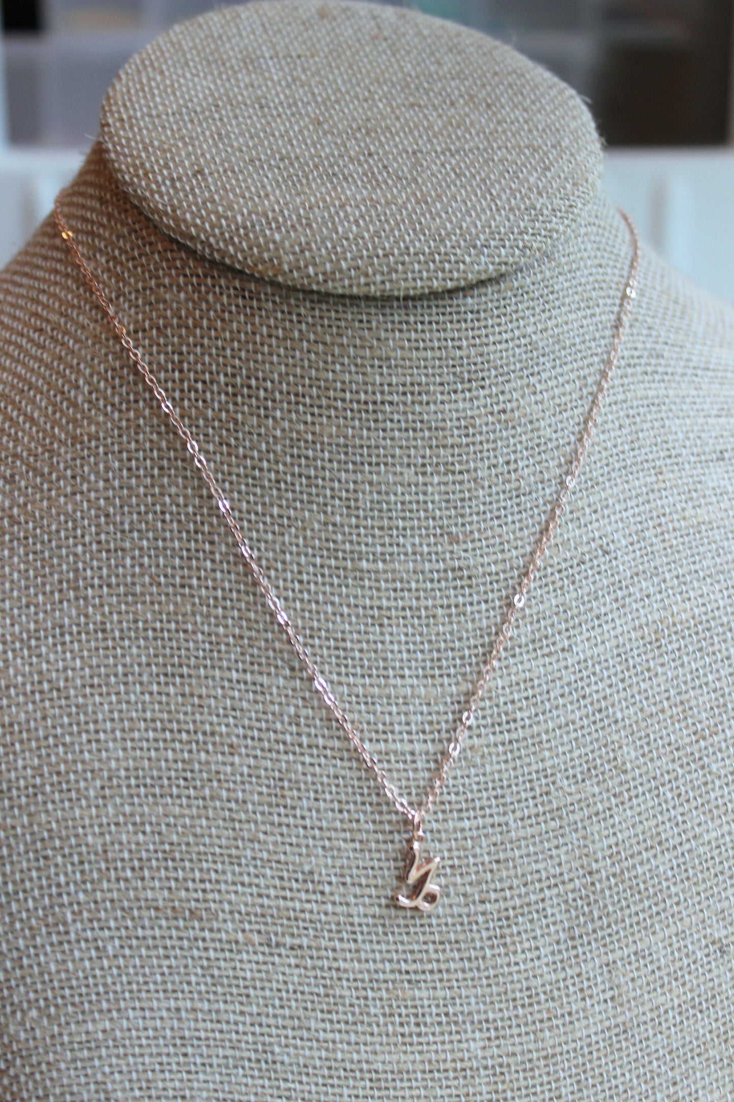 Silver Zodiac Necklace, Zodiac Jewelry, Constellation Necklace, Zodiac Sign Necklace, Astrology Necklace, Zodiac Personalized Jewelry