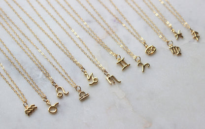 Social Distancing Gift, Quarantine Birthday Gift, Gold Zodiac Necklace, Celestial Jewelry, Isolation Gift, Zodiac Jewelry, Dainty Necklace